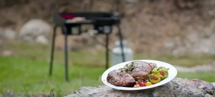 BBQ Box Cover, 1 Burner